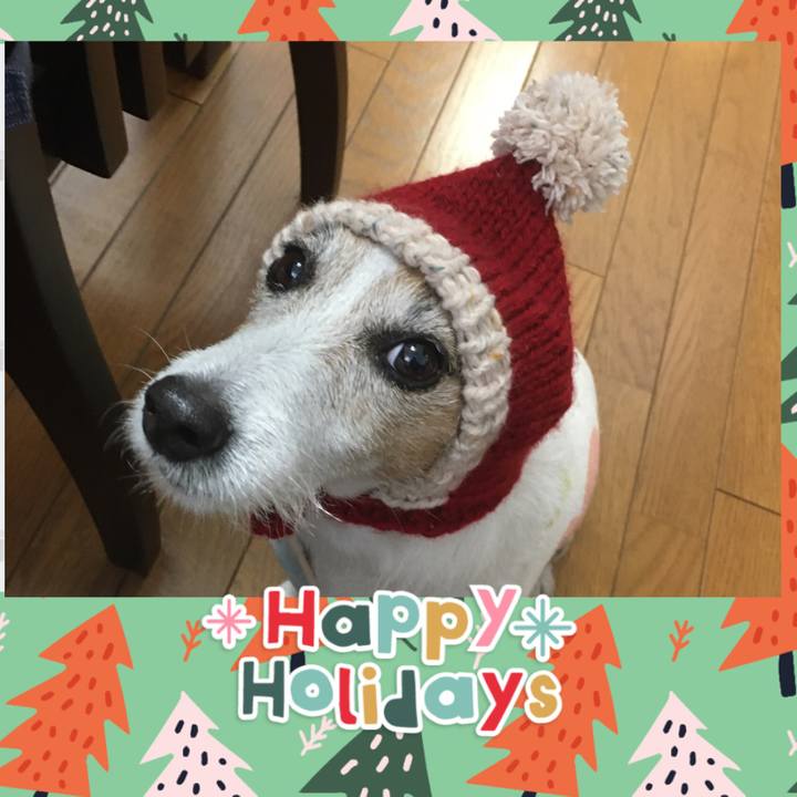 4b7bdd31 d91c 467c 8e5b 814f0336e631 1608852435035