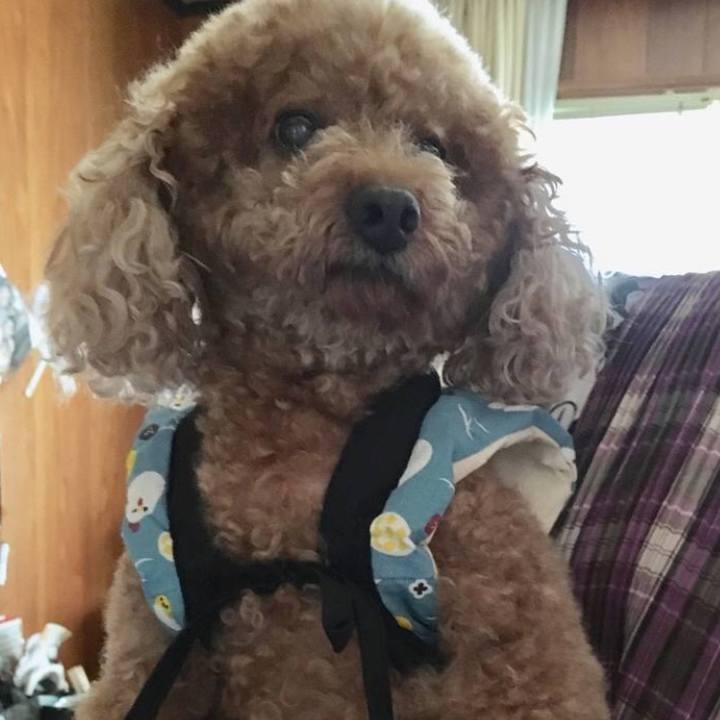 4b7be7e0 7f5d 4627 bf5a ca3afddc0b86 1558362960136