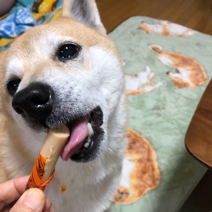 4b7c68c5 318b 4b4e a325 13dabb0cd7c8 1574683014933