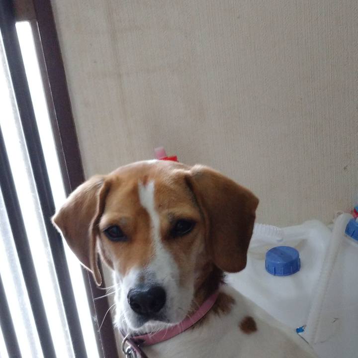 4b7c82de 24b0 470b a0cf 7b3d1da08dbe 1575601214558