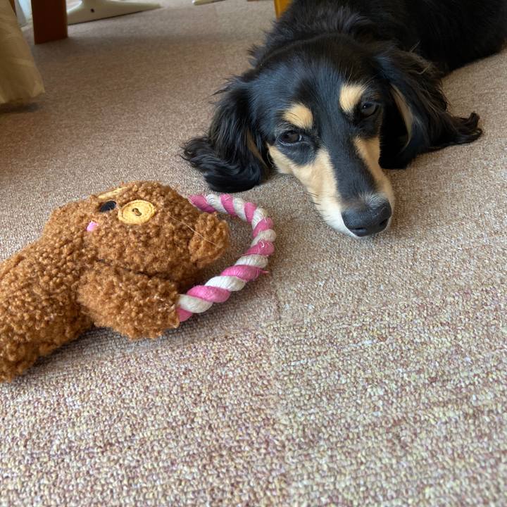 4b7ca516 9372 4acb 939c fadb5120ebe0 1693786126252