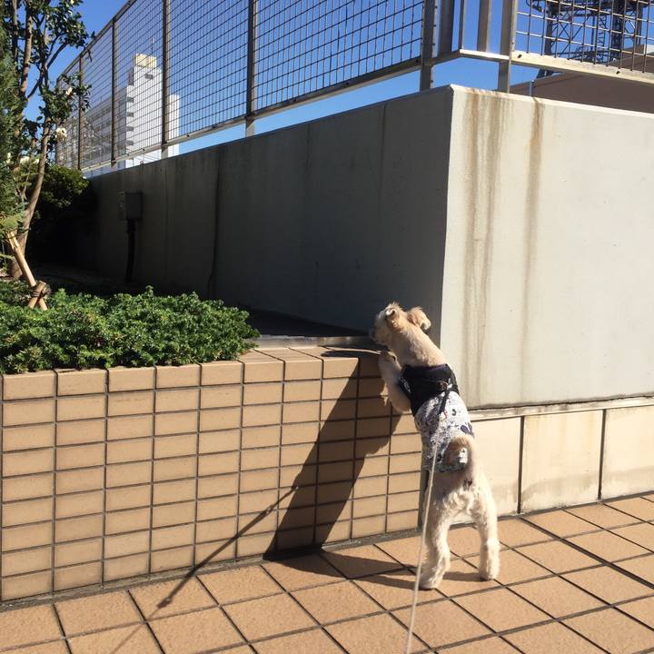 4b7ca820 294f 4c8b 8990 e07d54940f11 1541159909217