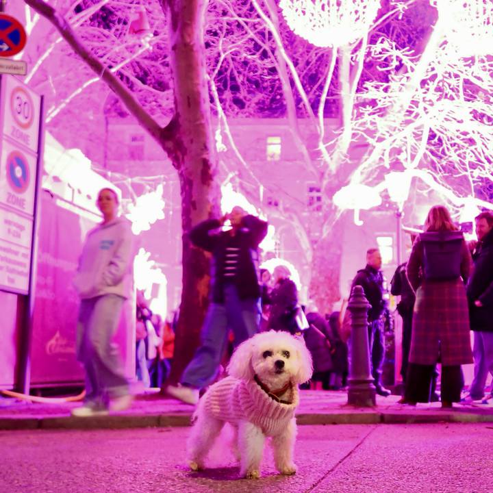 4b7cbfe1 9c39 489c 8905 854e319ef9ff 1766406555172