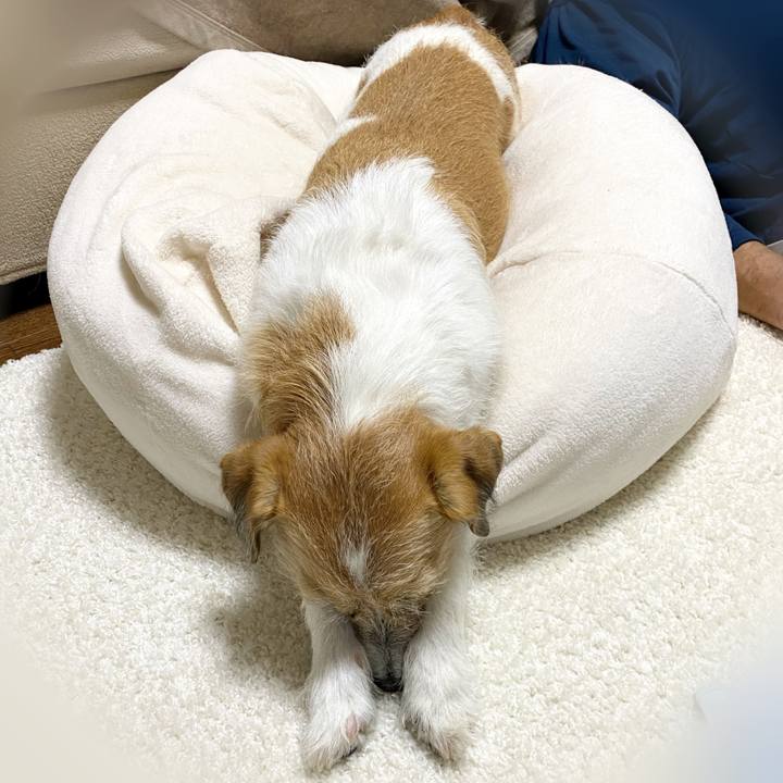 4b7cde0a 2868 4f2c 8ac6 7aa7dc6f1e36 1604574500766