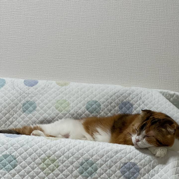 4b7ce665 9734 46ab 9dbc 8541c4db96e2 1699049877171