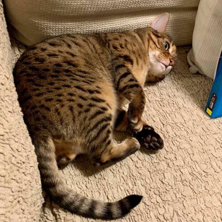 4b7cf399 15bf 4115 9427 f3fa4cfa5b36 1551741887154