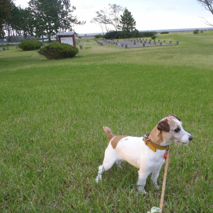 4b7cf4d8 b210 4408 ac73 fa4e998656d3 1507977504676