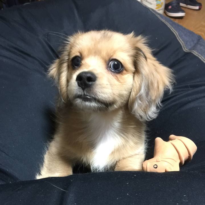 4b7d5368 d915 4f24 a766 293457cefce4 1591282953649