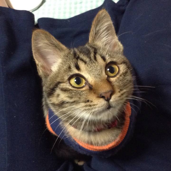 4b7d6245 adbf 428a a642 edd0a25569ce 1731490262218