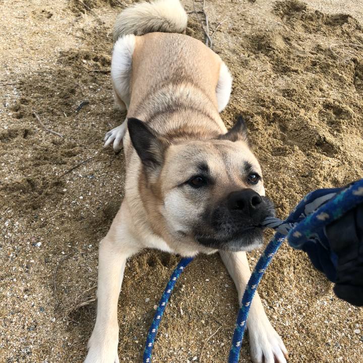 4b7d82ab 2425 4ca7 b311 0b671129bc5a 1552467331600