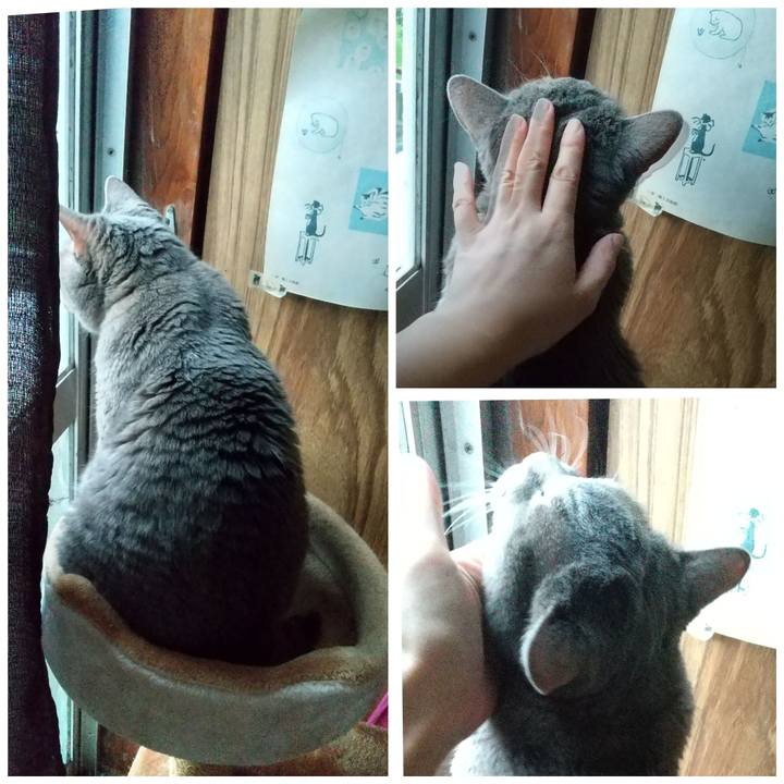 4b7dcbff aa7b 4ccc 8247 555aa2de4329 1600378859780