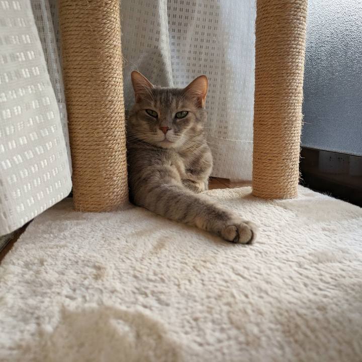 4b7e1a78 da1d 4ae9 9489 caab6ed63f34 1684654330344