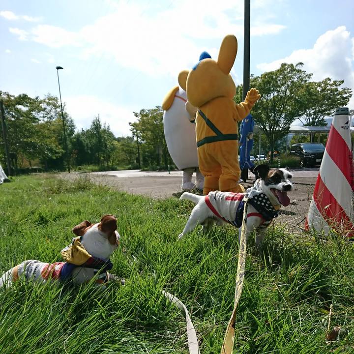 4b7e20fc 9f6c 44d2 bb61 5ed7327c8015 1537752379451