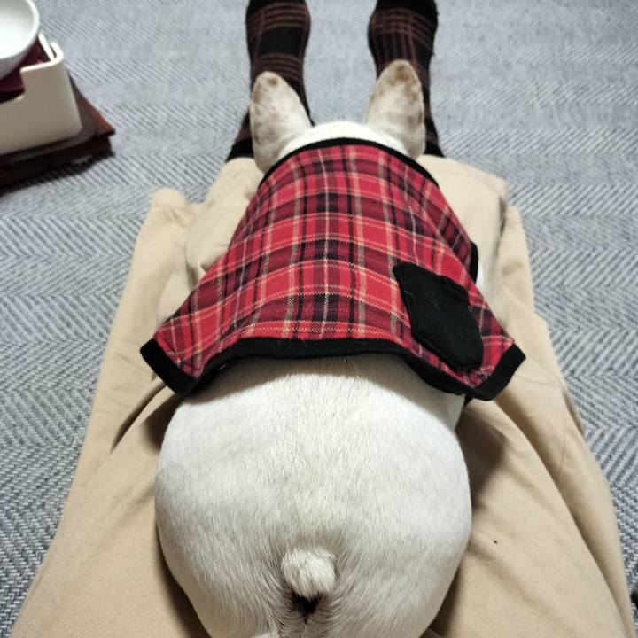 4b7ee599 962a 4522 ae60 31150300eea4 1677833154120