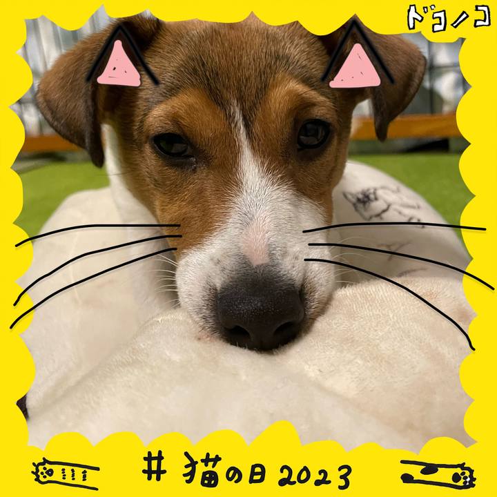 4b7f0e17 0b56 48b1 9868 6bc3a2fe3463 1677073484759