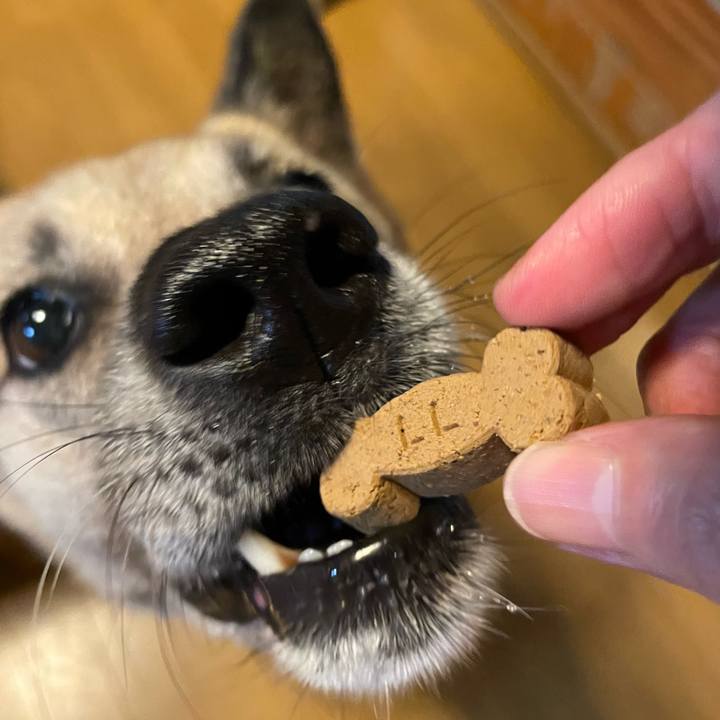 4b7f1508 3c32 49a8 9370 d02deb8ef443 1690980786702