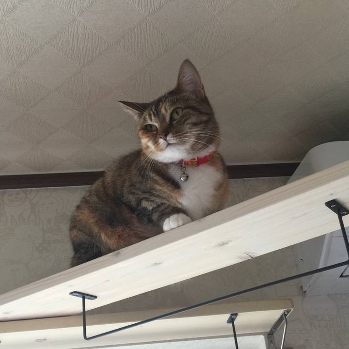 4b7f3a2f 3041 430d 8cb9 f93813fa66f2 1557111861323