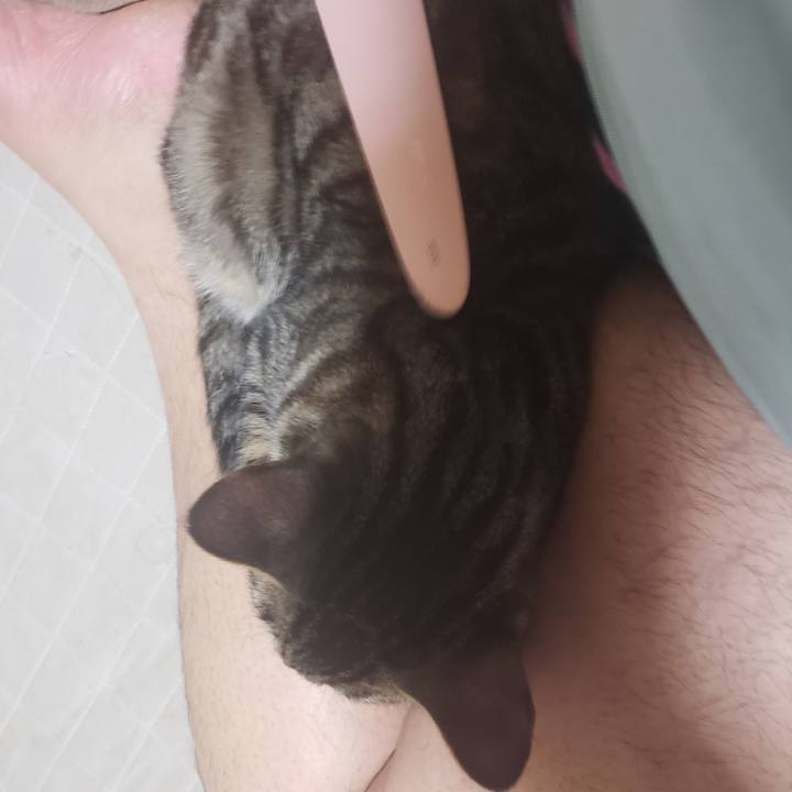 4b7f550e 0ecb 4385 8860 83eb3f860a96 1544451591952