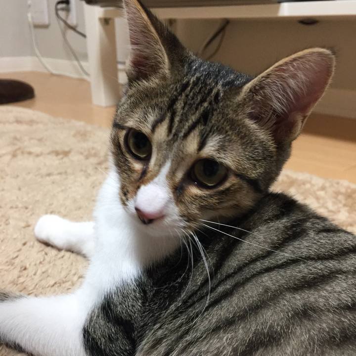 4b7f719b dba9 48d9 b2f1 a22f6b0561cd 1539096682348