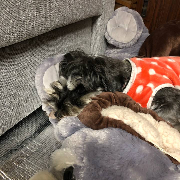 4b7f9327 125a 4936 b208 7a5122fbd127 1580825863417