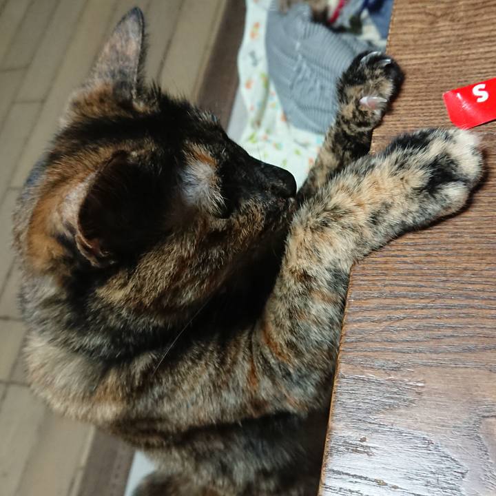 4b7f9993 70b4 46fd b1e3 2ee15f8d2e09 1525790947775