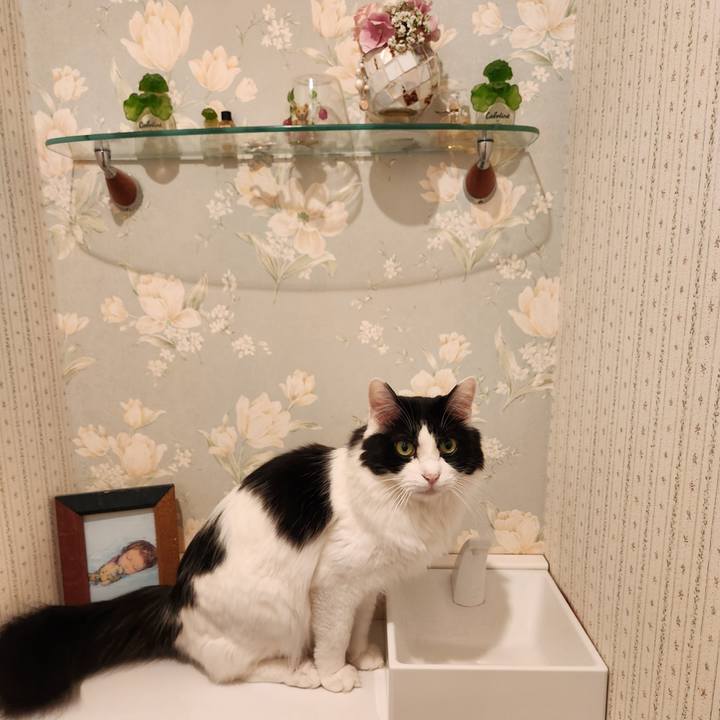 4b7fed30 07d8 4bf6 9f48 6396d9ce3b5c 1712493244928