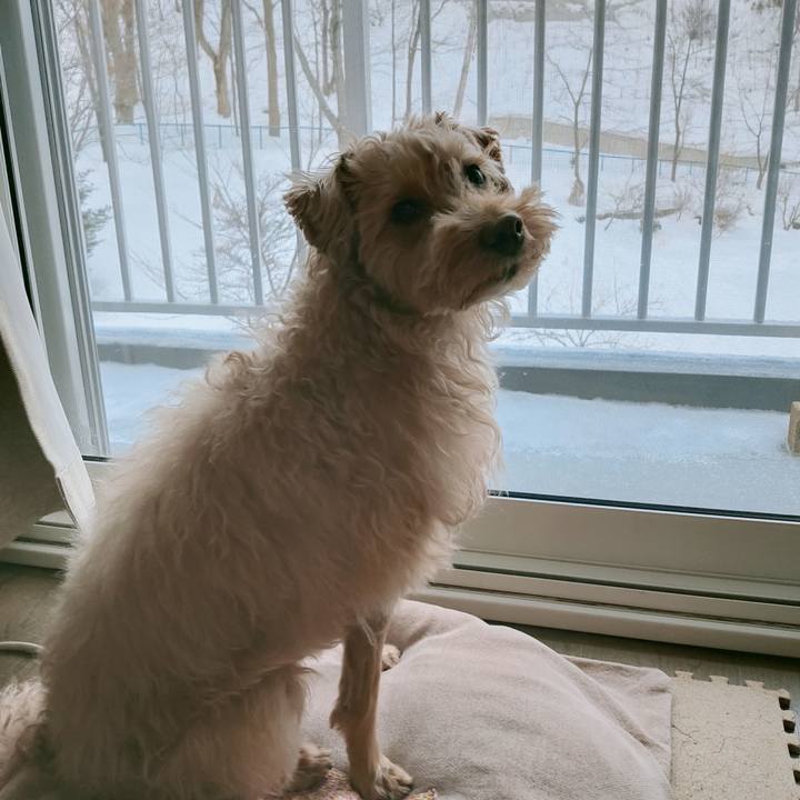 4b7ff5d3 359e 487e 8137 466caa384691 1612565530910