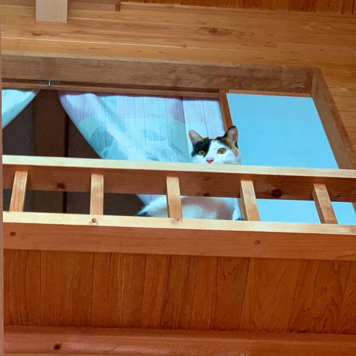 4b801325 21b1 42cd a407 af07d3dcb550 1571364548795