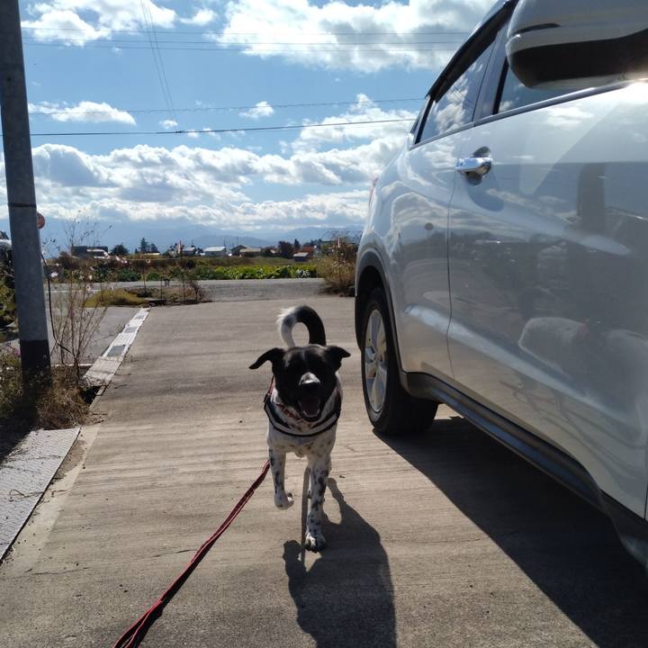 4b80517f a2b5 43cb 9d92 62edc53f3f23 1667711976186