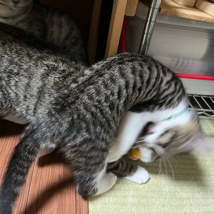 4b80a0b6 5dec 4712 af65 7d07d41291ed 1768463898721