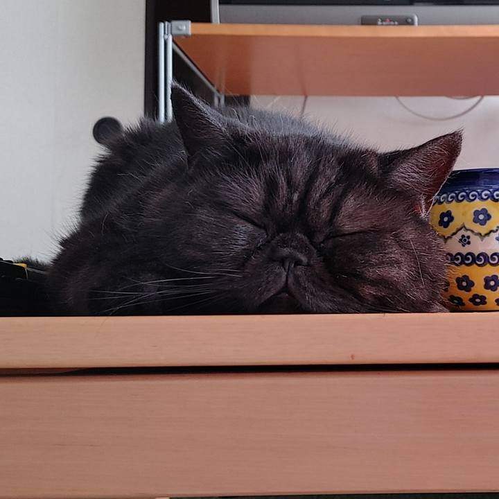 4b8105df e264 438c 9700 766dc770a631 1632695272828