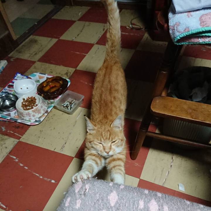 4b8126fd 1ecc 4cf4 a146 79a0018db52d 1594583489236