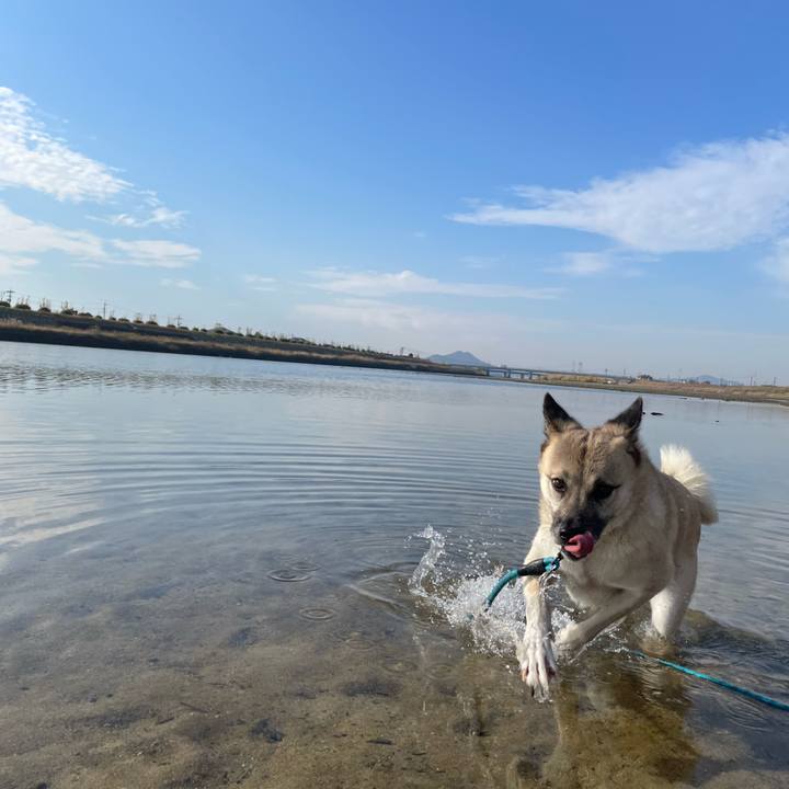 4b81303a 8ec6 43bd a6c1 a45408fd034b 1700723356456