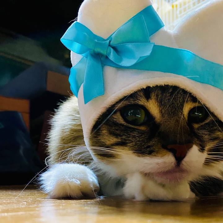 4b814b6a 55f6 4456 b628 8b29b06a38ad 1604840936674