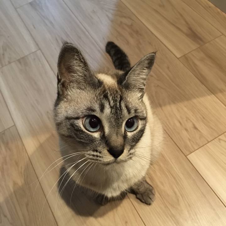 4b8164e1 8b56 4ef2 affe 15de014d085f 1583236739911