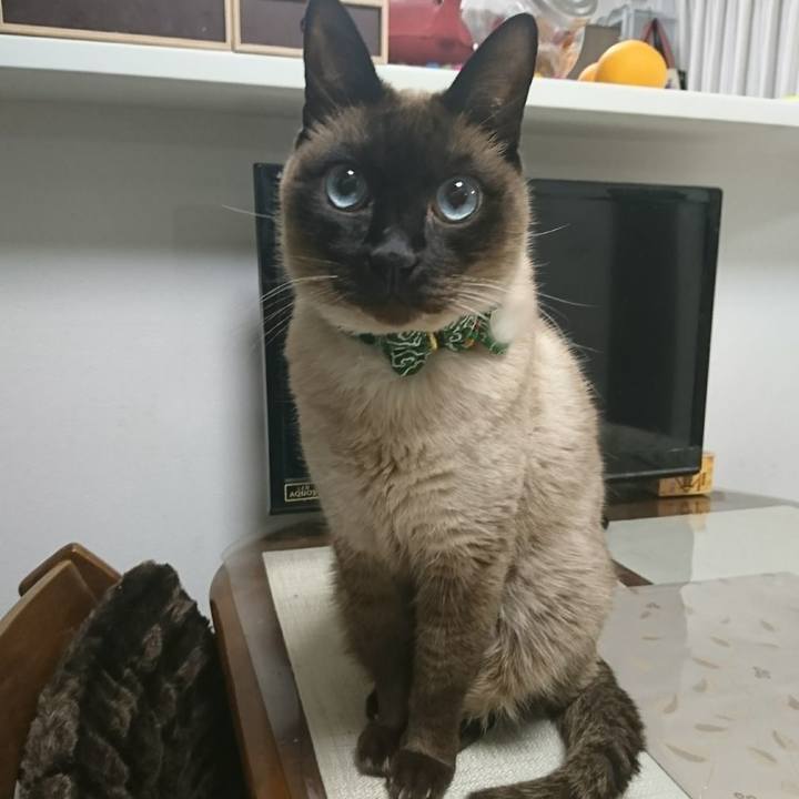 4b817c6a 7682 4919 8ded f028ce311c7b 1520605317533