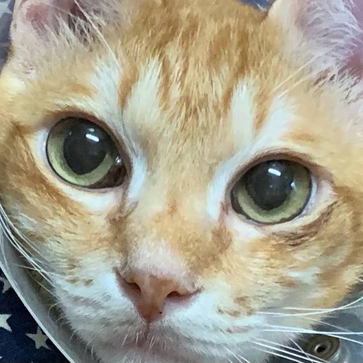 4b8196ac 5190 402b a407 73a12cec66c3 1629928184356