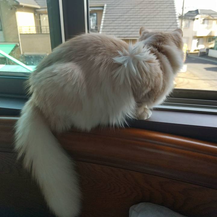 4b81a461 a5bc 4ebf 8377 03f57b71b3f2 1619220980787