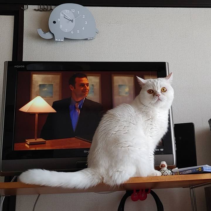 4b81c57e 56b1 48c9 b772 c0fbebde23cb 1628470629842