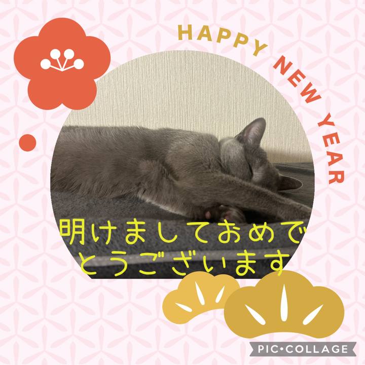 4b81d5c8 b577 4c60 bc9a b358f51012cc 1735722530304