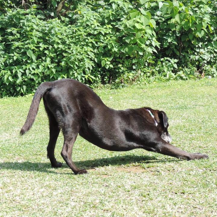 4b81d8de 3a7a 43f9 a73a 90a3fa4f3e3e 1540039664680