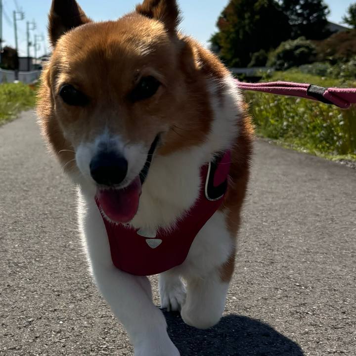 4b81df23 584c 4a99 96d1 01a15bf9ccda 1728787937262