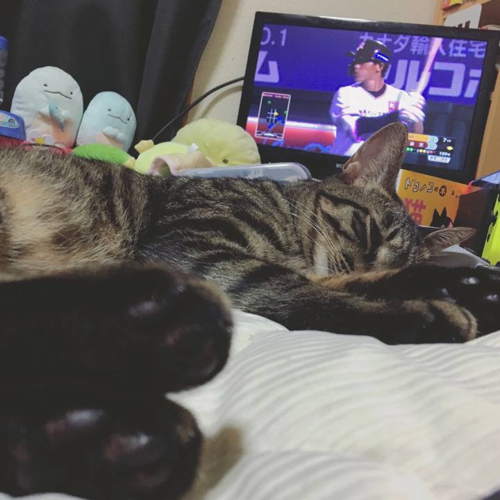 4b81f1d8 4608 4409 bd25 cc0b79f7daad 1565696718978