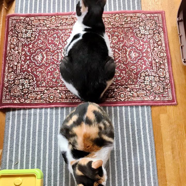 4b8200fe f1dc 4ae6 9d23 1fd2eaa4017e 1508574605400