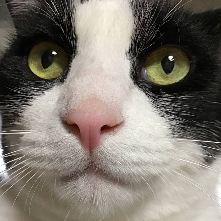 4b8234a3 5d2e 4675 9c36 fdbd7f5d706f 1722069369186