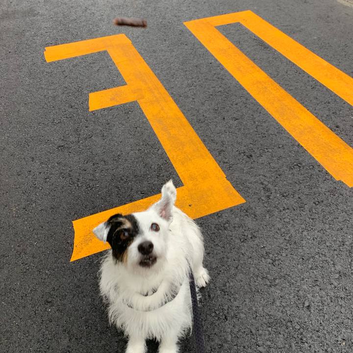 4b825f32 b57c 47d2 bb66 f5787642973a 1751411083058