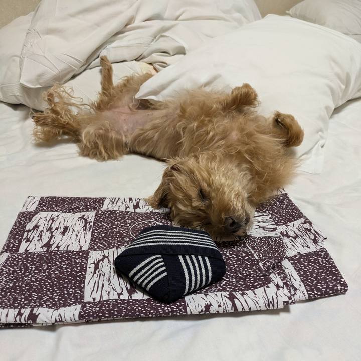 4b826516 41f7 4a59 aab3 2b826e210fbf 1725413072481