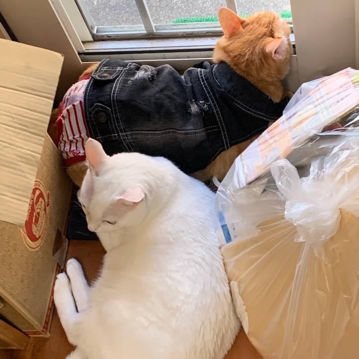 4b829efb edec 4346 8b94 6883478e1e9b 1624244635619