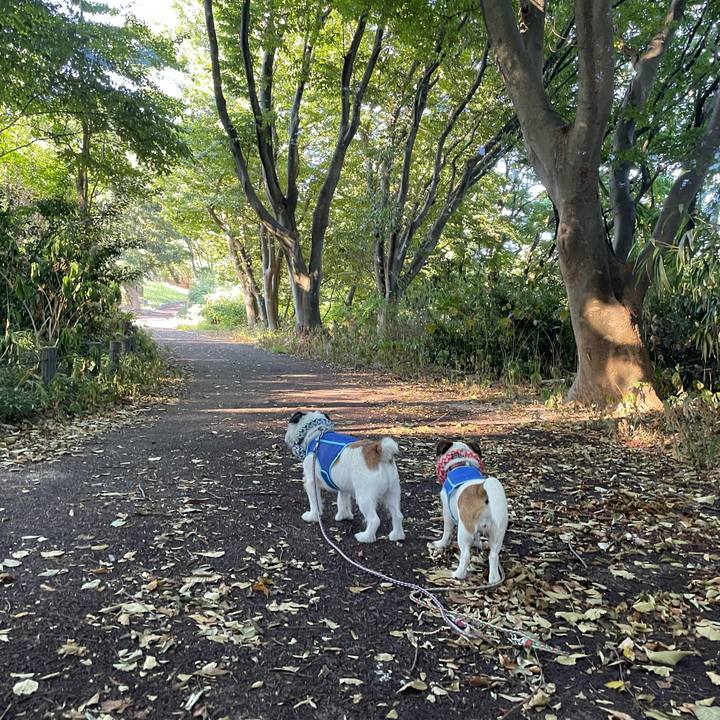 4b82ed2c e379 4b7a 9157 17c438cda6e5 1692660667591