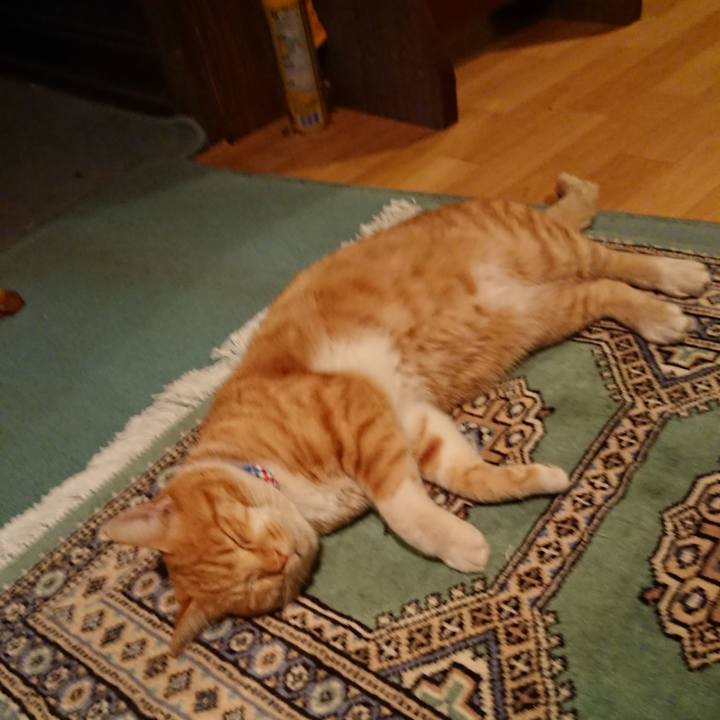 4b82f3e7 1682 4dc9 a467 637bdec9bde2 1576486588594